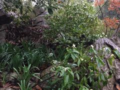 -玉女潭景区