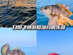 -日照海滨国家森林公园
