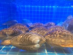 -悦海·家宴·冰花皮皮虾大锅贴(宝龙店)