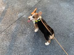 -春花秋色城市公园