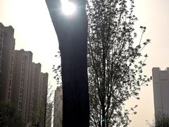 -唐城墙遗址公园