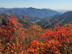 -大岭沟猕猴桃谷风景区
