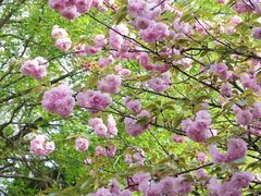 -东坡赤壁风景名胜区