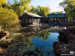 -三忘湖 SWANSEEN(柳荫公园店)