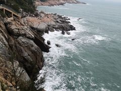 -广东惠东海龟国家级自然保护区