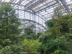 -南山植物园