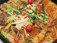 -老板恋上鱼(恒隆广场店)