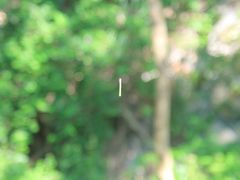 景点-铁路文化公园