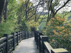 -白马涧龙池景区