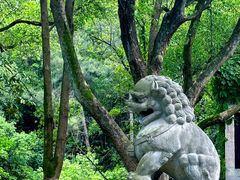 -常德桃花源景区