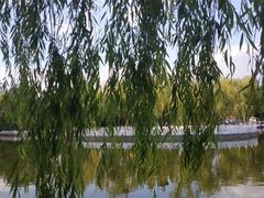 -丰台花园