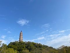 -顺峰山公园