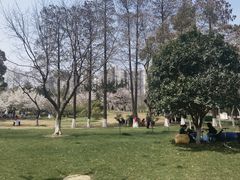 -堤角公园