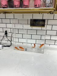 -吉姆叔叔亲子儿童摄影(青岛印象·山店)