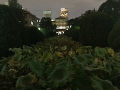 -四川大学(华西校区)