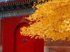 -承恩寺