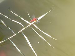 -鸡鸣山旅游景区