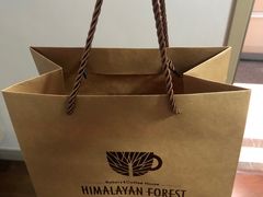 -喜马拉雅森HIMALAYAN FOREST