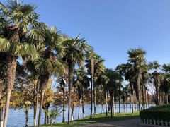-海南椰子鸡餐厅(三亚湾红树林店)