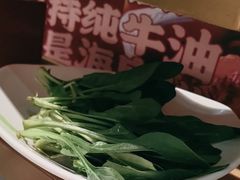 -海底捞火锅(步步高新天地店)