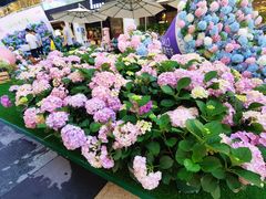 -HALO广场(梨园路店)