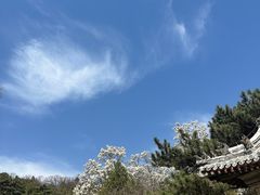 -潭柘寺景区