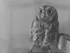 -南京夫子庙国际青年旅舍(平江府路店)