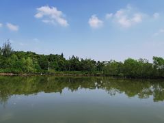 -东寨港红树林旅游区