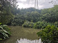 -广州长隆飞鸟乐园