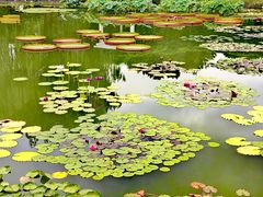 -国家植物园南园