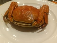 -中山喜来登酒店