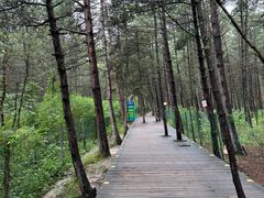 -帽儿山国家森林公园