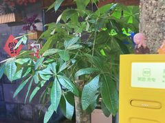 -回忆以前铁锅炖鱼村(一部六号街店)