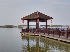 -南大港湿地风景区