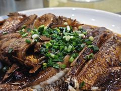-两户人家农家乐