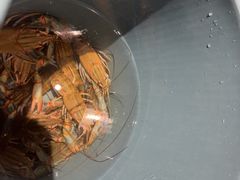 -虾胡闹龙虾馆(湄南河店)