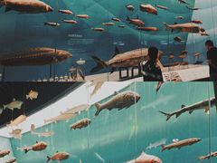 -重庆自然博物馆(新馆)