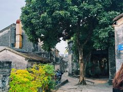 -三溪村