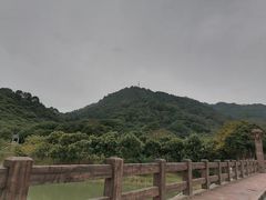 -风云岭森林公园