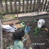 ️免预约 ️适合10岁以下的儿童