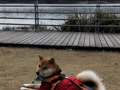 -美兰湖景区