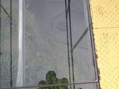 -磐安舞龙峡景区