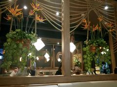 -云海肴·汽锅鸡·云南菜(天津国金汇店)