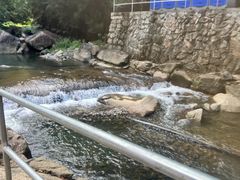 -雅鲁激流探险漂流