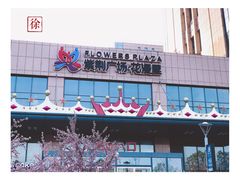 -紫荆广场·花漫里