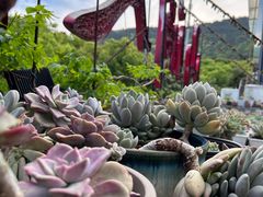 -山涧人家·旺山农家菜(旺山店)