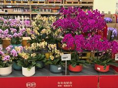 -盒马X会员店(王府井奥莱UP TOWN店)