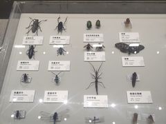 -四川大学博物馆