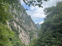 -青峰峡国家森林公园