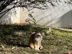 -北京鲁迅博物馆(北京新文化运动纪念馆鲁博馆区)